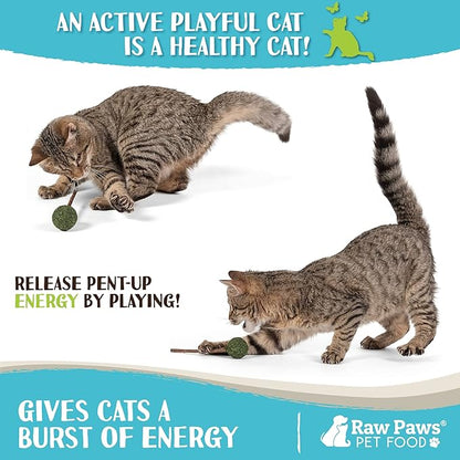 Raw Paws Catnip &amp; Silvervine Lollipops Interactive Cat Toy (6 Pack) - Silvervine Sticks for Cats - Catnip Ball Toy - Fresh Cat Nip - Silver Vine Dental Sticks