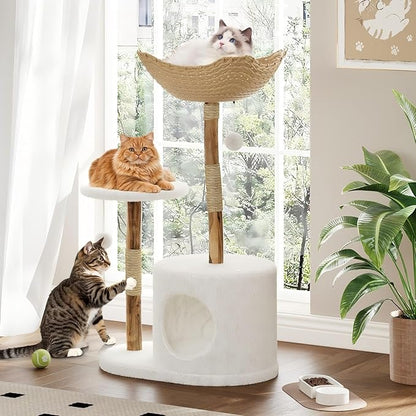 Modern Wood Cat Tree Tower for Large Cats | Luxury Solid Pear Wood Condo with Platforms, Scratching Posts &amp; All-Season Mats, 43" Aesthetic Cat Furniture, 1 Branch