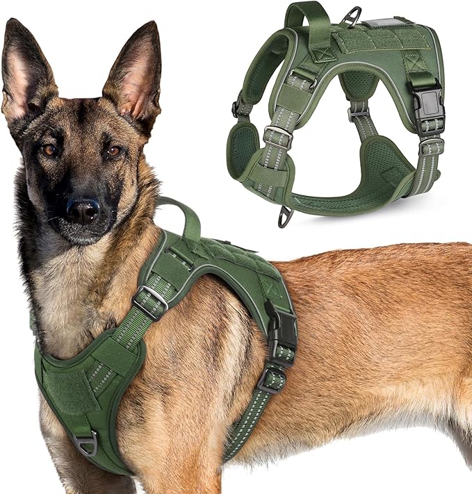 rabbitgoo Tactical Dog Harness for Large Dogs, No Pull Military Service Vest with Handle &amp; Molle, Easy Control for Training Walking, Adjustable Reflective Straps, Green, XL