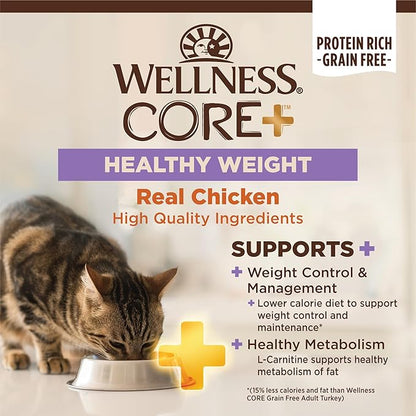 Wellness CORE+ Adult Dry Cat Food for Indoor &amp; Outdoor Cats, Grain Free, Natural, Healthy Weight, Chicken and Chicken Meal (4.75 Pound Bag)