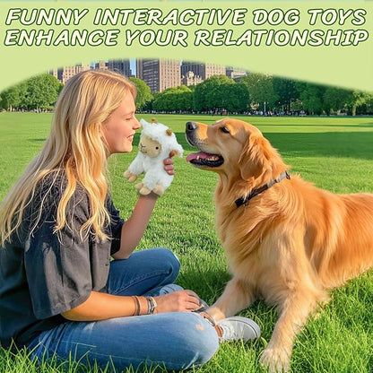 Squeaky Dog Toys for Large- Plush Stuffed Chew Toy with Soft Fabric- Interactive Puppy Toys to Keep Them Busy- Indoor &amp; Outdoor Play