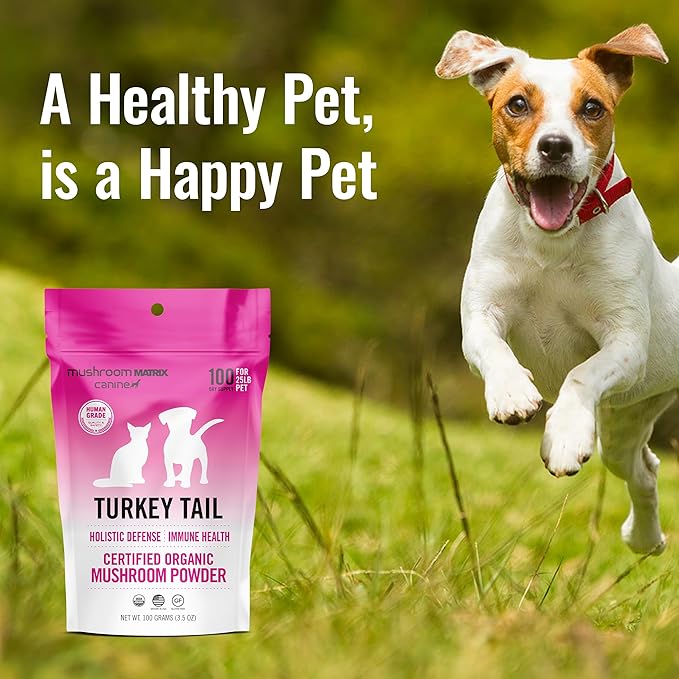Om Mushroom Matrix Pet - Canine | Turkey Tail | USA Grown Human-Grade Organic Mushroom Powder Pet Supplement | Immunity Support &amp; Holistic Defense for Dogs &amp; Cats | 100 Grams, 3.5 oz