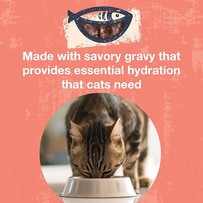 KOHA Poké Bowl Tuna &amp; Salmon Entree in Gravy for Cats, 12-Pack of 3oz Pouches