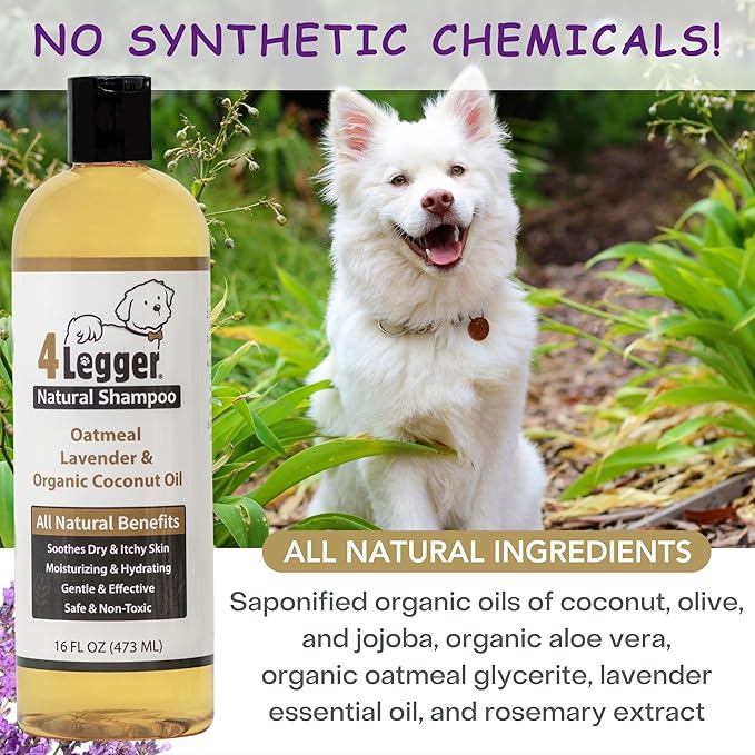 All Natural Organic Oatmeal Dog Shampoo for Itchy Skin with Aloe, Coconut &amp; Lavender Essential Oil, Hypoallergenic, Moisturizing for Normal, Dry, Itchy, or Sensitive Skin, USA Made, 16 oz