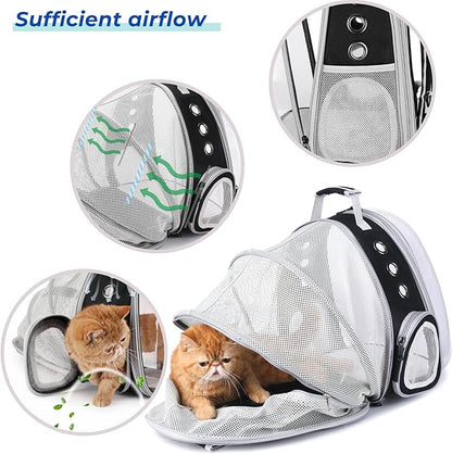 Lollimeow Cat Carrier Backpack, Bubble Expandable Backpack Carrier, Pets and Small Dogs,Airline-Approved, Designed for Travel, Hiking, Walking &amp; Outdoor Use (Back Expandable-Black)