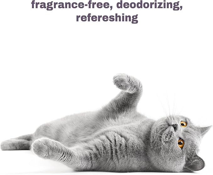Soothing Hypoallergenic Cat Shampoo – Easy at-Home Cat Grooming | Deodorizes | Gentle &amp; Anti-Itch | Natural &amp; Allergy-Safe Cat Shampoo Sensitive Skin – Fragrance Free | 9 fl oz
