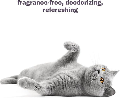 Soothing Hypoallergenic Cat Shampoo – Easy at-Home Cat Grooming | Deodorizes | Gentle &amp; Anti-Itch | Natural &amp; Allergy-Safe Cat Shampoo Sensitive Skin – Fragrance Free | 9 fl oz