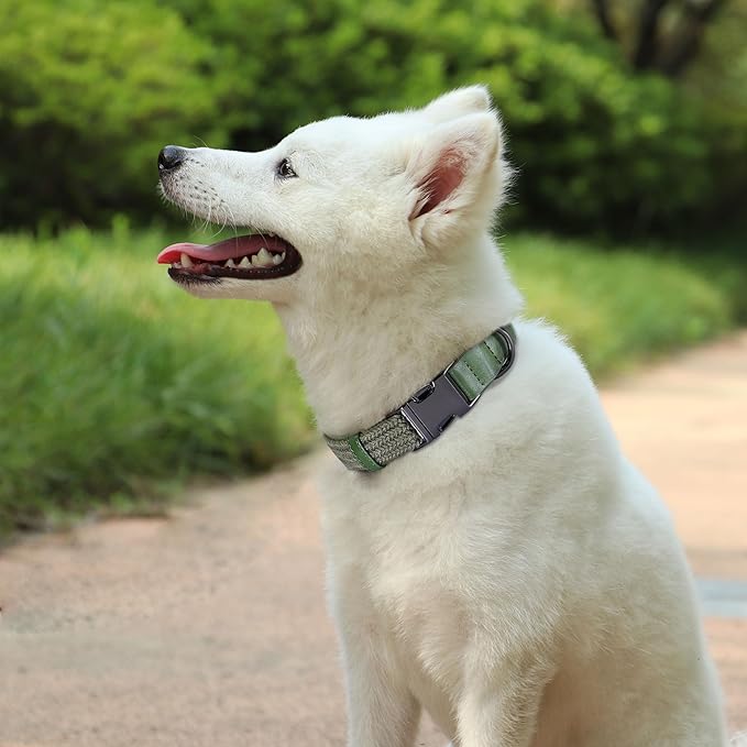 PET ARTIST Soft Cotton Dog Collars for Small Dogs in Stylish Green, Simple Dog Collar with Quick Release Metal Buckle &amp; D Ring, S Size (10-16")