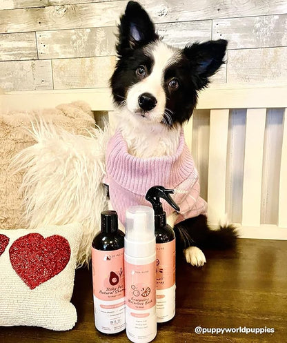 kin+kind Anti-Itch Dog &amp; Cat Shampoo for Itchy Skin and Allergies - Safe, Natural Formula with Olive, Coconut, and Avocado Oil - Made in The USA - Great for Dog Grooming and Cat Supplies (12 fl oz)