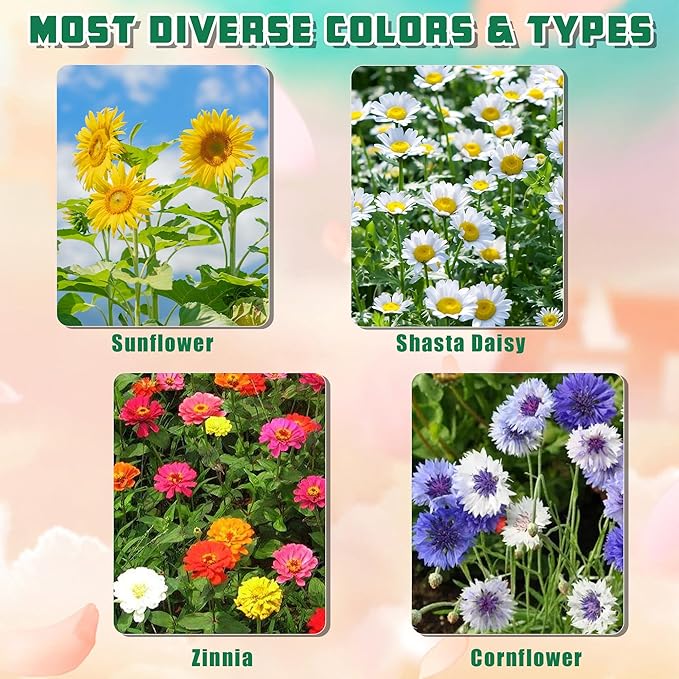 Indoor Daisy Garden Starter Kit, 4 Flower Seeds Growing into Shasta Daisy, Cornflower, Sunflower, Zinnia, Including Complete Gardening Tools, Christmas Gifts for Women Men &amp; Beginners