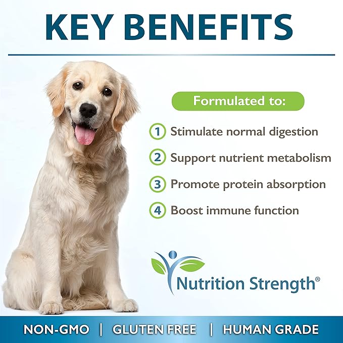 Papaya for Dogs Digestive Enzyme Complex to Support Normal Intestinal Function, Boost Immunity, with Organic Papaya Fruit + Papain, Protease &amp; Amylase, 90 Soft Chews