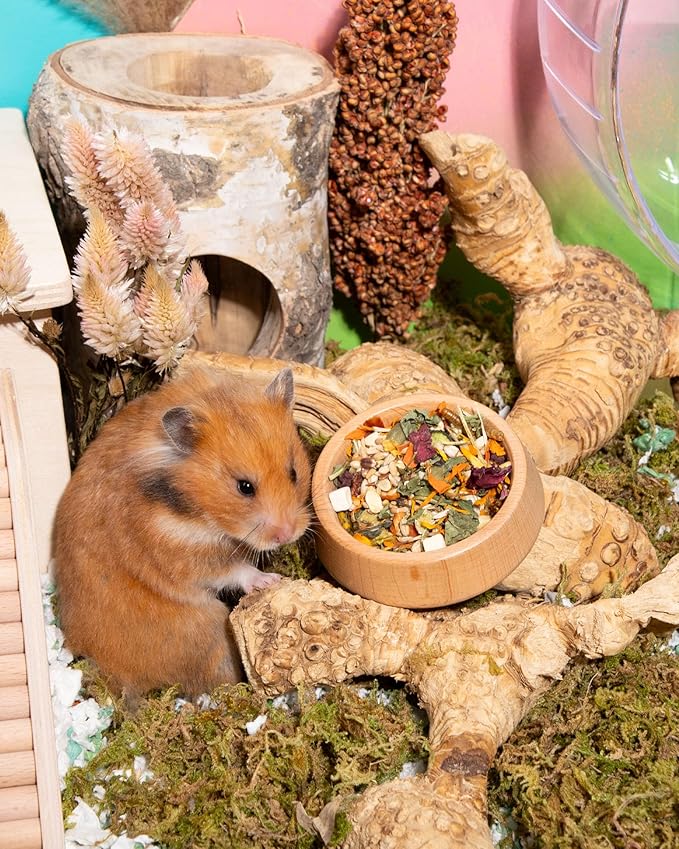 Niteangel Golden Hamster Food &amp; Treats - Small Animal Natural Food for Syrian Golden Hamsters or Other Small-Sized Pets