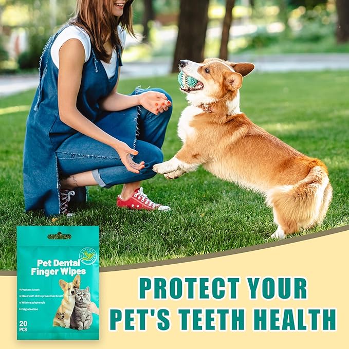 Portable Dog Teeth Dental Finger Wipes for Dogs &amp; Cats No-Rinse Dog Finger Toothbrush Dog Plaque &amp; Tartar Prevention with Brushing Beads Dog Breath Freshene 20pcs