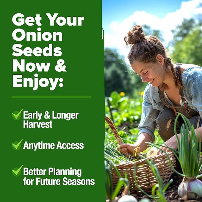 HOME GROWN 𝗨𝗦𝗔 𝗣𝗥𝗘𝗠𝗜𝗨𝗠 8 Onion Seeds for Planting – 1,600 Heirloom 𝗡𝗢𝗡-𝗚𝗠𝗢 Vegetable Seeds – Grow Sweet, Yellow, Red, Spanish, Green &amp; Vidalia Onions in Outdoor or Indoor Home Garden