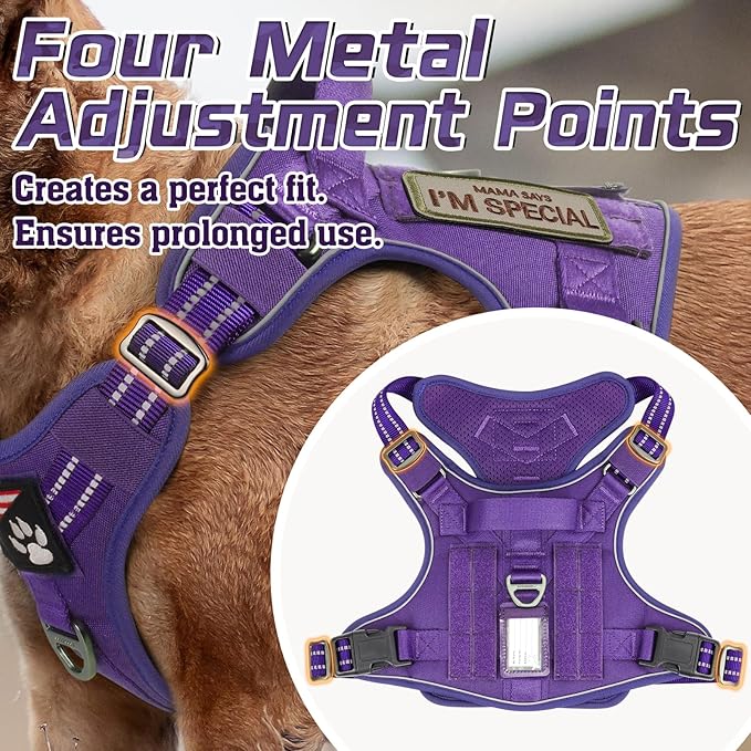 rabbitgoo Tactical Dog Harness Medium Sized Dog, No Pull Military Service Vest with Handle &amp; Molle, Easy Control for Training Walking, Adjustable Reflective Straps, Purple, M