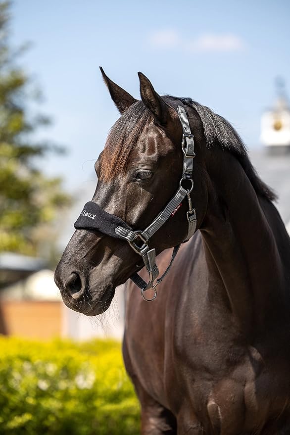 LeMieux Vogue Fleece Headcollar - Halter &amp; Leadrope - Extra Padding, Adjustable at Curb and Poll Strap