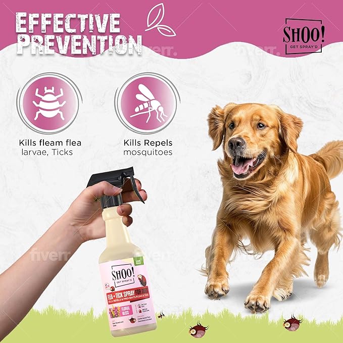 Shoo! Flea &amp; Tick Spray for Dogs and Home | Plant Based, Natural Oils, Chemical Free Formula | Kills, Repels, Prevents | 16 oz (Floral Bliss)