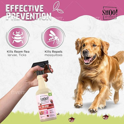 Shoo! Flea &amp; Tick Spray for Dogs and Home | Plant Based, Natural Oils, Chemical Free Formula | Kills, Repels, Prevents | 16 oz (Floral Bliss)