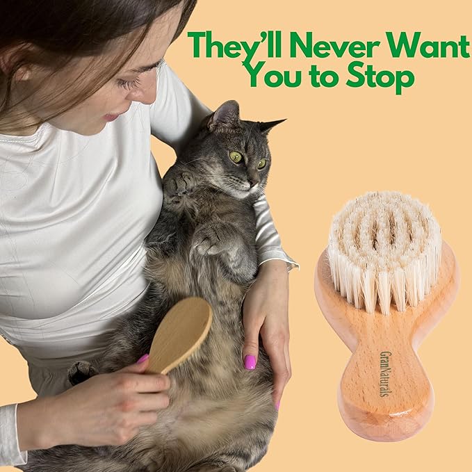 GranNaturals Boar Bristle Soft Cat Brush for Indoor, Outdoor, Short Haired Cats, Kittens, Small Dog, Rabbit, Furry Pets - Gentle Grooming on Sensitive Hair Coat &amp; Tail with Durable Wooden Handle