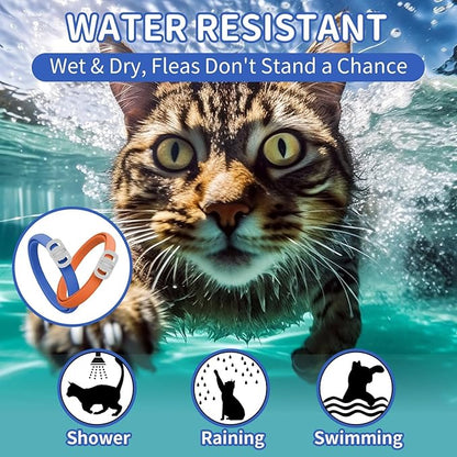 4 Pack Flea and Tick Collar for Cats, 32 Months Flea and Tick Treatment, Flea and Tick Prevention, Waterproof, Adjustable Flea and Tick Collar for Kittens, Blue &amp; Orange