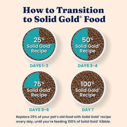 Solid Gold Indoor Dry Cat Food - Grain Free &amp; Gluten Free - Chicken Cat Food Dry Kibble for Indoor Cats w/Probiotics &amp; Fiber for Gut Health - Sensitive Stomach &amp; Hairball Support for Adult Cats - 3LB