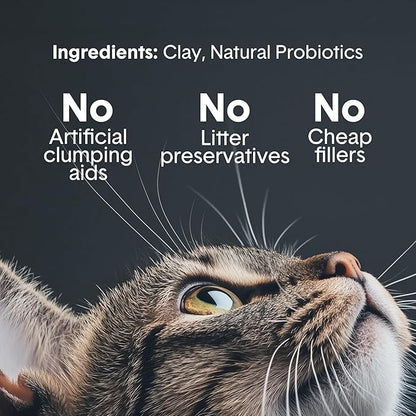 Boxie® Probiotic Cat Litter 40 Day Natural Odor Control, 40lb Clumping Kitty Litter (Clay)