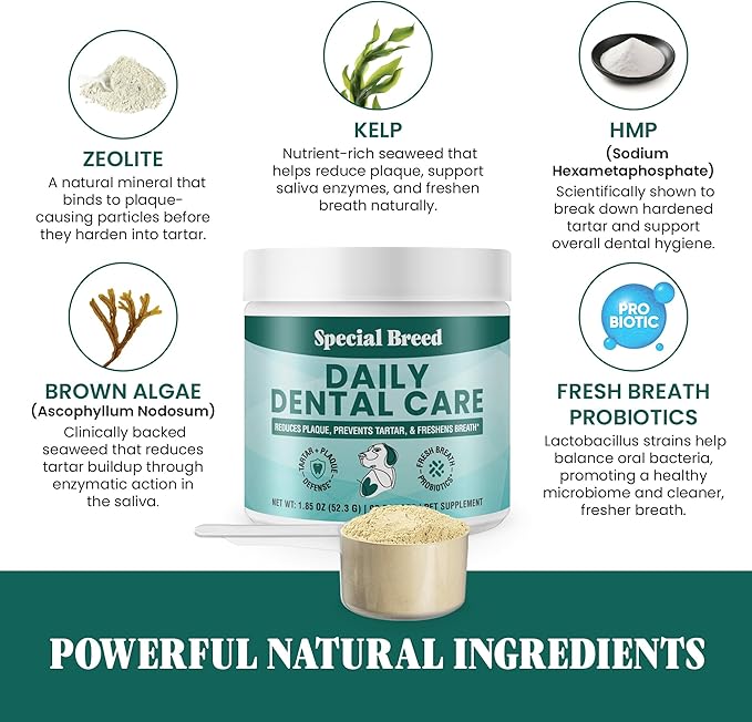 Dog Teeth Cleaning Powder – Natural Dog Dental Powder for Tartar Control, Fresh Breath &amp; Gum Health – Daily Plaque Remover with Zeolite, Brown Algae, Probiotics &amp; Rosemary – 90 Scoops