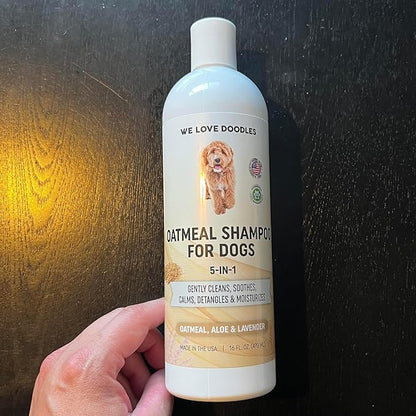 5-in-1 Premium Oatmeal Shampoo for Dogs, Gentle for Itchy &amp; Sensitive Skin, Provides Itch Relief, Hypoallergenic &amp; Soothing for Dry Skin, Moisturizing Anti-Itch, Made in USA, 16 oz [We Love Doodles]