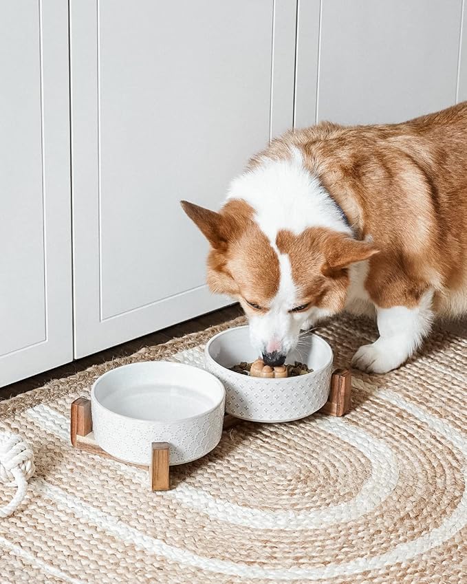 Dog Bowls Ceramic for Small Medium Dogs - 3-Cup Dual Food &amp; Water Bowl Set with Acacia Wood Stand, Non-Slip Anti-Tip Elevated Design