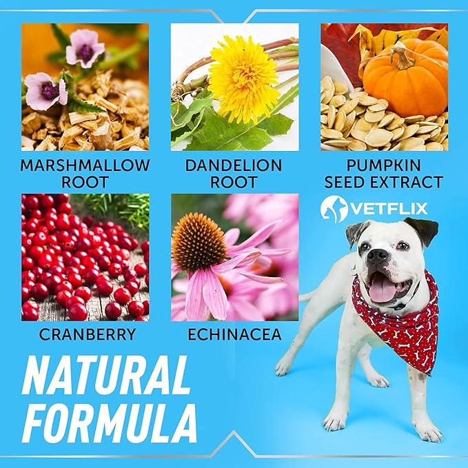 Cranberry Dog &amp; Cat UTI Treatment - Best UTI for Pets - Made in USA - Dog &amp; Cat Kidney Support - Cat Bladder Drops - Pet Immune Health Supplement - Marshmallow, Dandelion Root, Pumpkin Seed - 2 Fl Oz