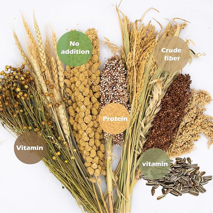 Natural Ear of Grain Flower&amp;Herb Bedding Mate Habitat Decor, Adding Fun Hamster Accessories for Hamsters Gerbils Lemming