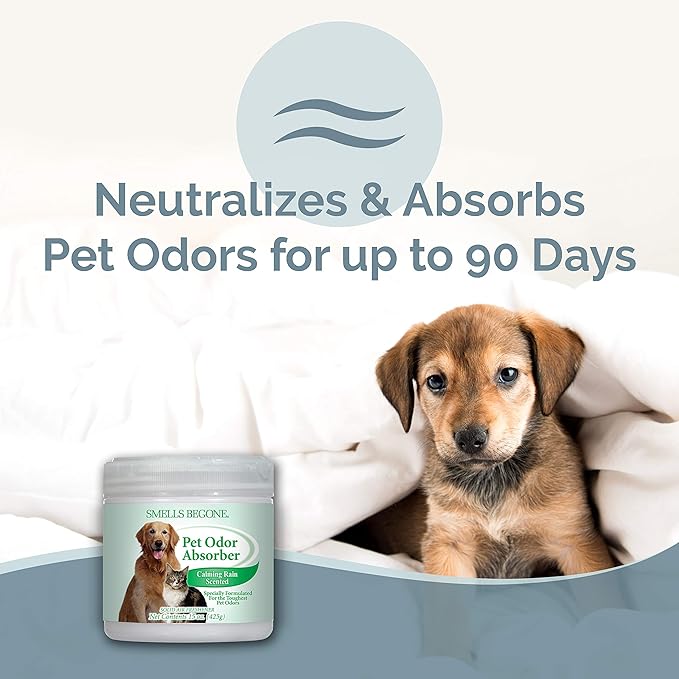 SMELLS BEGONE Air Freshener Odor Absorber Gel - 15 oz, Pack of 2 - Absorbs and Eliminates Odor in Pet Areas, Bathrooms, Cars, &amp; Boats - Made with Essential Oils - Calming Rain Scent