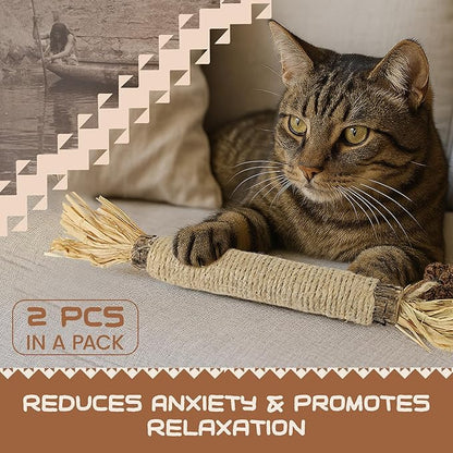 Catnip Silvervine Sticks for Cats | Silver Vine Chew Toy or Cat Chew Stick | Kitten Teething Toys | Cat Dental Chew with Cat Raffia Grass for Healthy Teeth &amp; Digestion | Silvervine Cat Toy | 2 Sticks