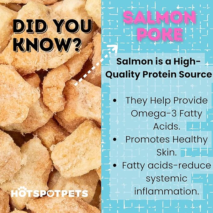 hotspot pets Freeze Dried Salmon Treats for Cats &amp; Dogs -Made in USA-1LB Resealable Big Bag -Single Ingredient, High Protein, All Natural Grain-Free- Perfect for Training, Topper or Snack