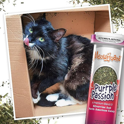 Meowijuana Purrple Passion Cat Nip - Premium Organic Blend of Catnip for Cats &amp; Silvervine, Stimulates Playful Behavior, 26g, Natural Wellness Gift for Cat Lovers