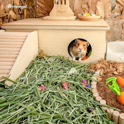 Niteangel Natural &amp; Soft Hamster Bedding Mate Small Animal Habitat Decor for Syrian Dwarf Hamsters Gerbils Mice Degus Bunny or Other Small-Sized Pet