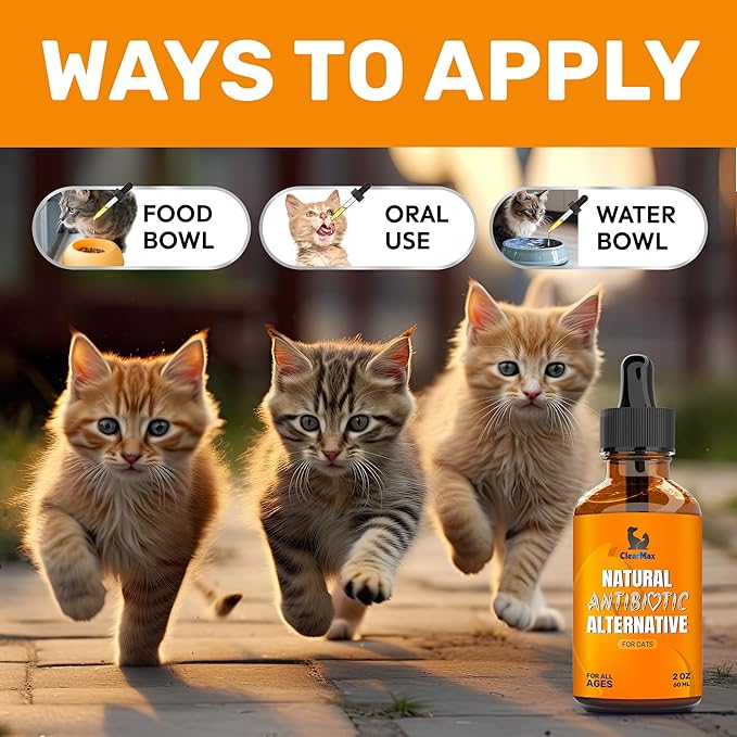 Cat Antibiotic to Help with Cough &amp; Allergies – Antibiotics for Cats to Aid with UTIs and Digestive Moments – HIPS &amp; Joints Support – Attractive Chicken Taste – 2 Oz Bottle