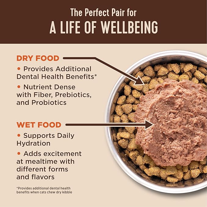 Wellness CORE+ Adult Dry Cat Food for Indoor &amp; Outdoor Cats, Grain Free, Natural, Healthy Weight, Chicken and Chicken Meal (4.75 Pound Bag)