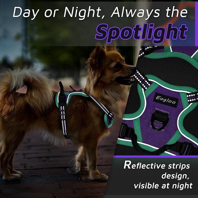 Eagloo Small Dog Harness No Pull, Service Vest with Reflective Strips and Control Handle, Adjustable and Comfortable for Walking, No Choke Pet Harness with 2 Metal Rings, Purple &amp; Green, XS