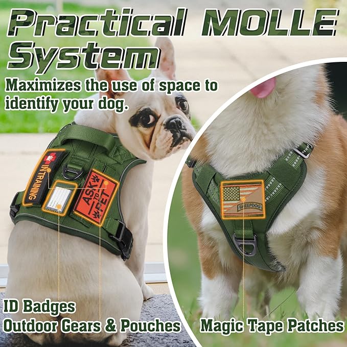 rabbitgoo Tactical Dog Harness for Small Dogs, No Pull Military Service Vest with Handle &amp; Molle, Easy Control for Training Walking, Adjustable Reflective Straps, Green, S