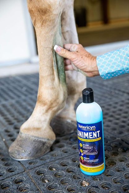 Vetericyn Mobility Equine Liniment for Fast-Acting Relief of Muscles and Joints – Menthol-Based Topical Analgesic for Horses – 16 Ounces