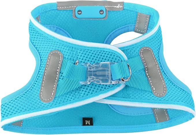 Light Up Dog Harness,Rechargeable LED Dog Harness for Small Medium Large Dogs,Reflective Lighted Safety Vest for Night Walking &amp; Camping,Lightweight &amp; Adjustable,Blue,XS