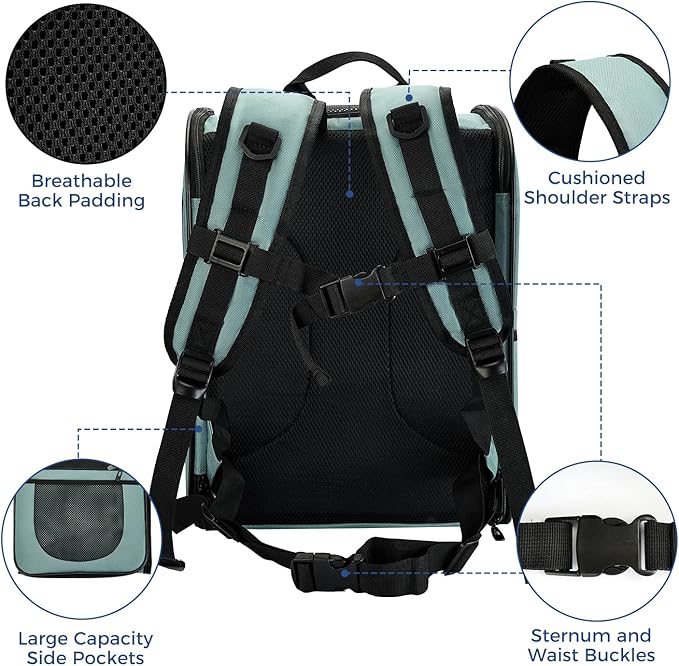 Apollo Walker Dog &amp; Cat Carrier Backpack for 4-15lb Pets - Ventilated Safe Design with Padded Back Support, Breathable Mesh Pet Backpack for Hiking, Travel, Outdoor (Blue)