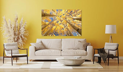 Nature Wall Art Prints - Ocean Forest Mountain Lake Canvas Landscapes - Small to Extra Large Living Room Bedroom Kitchen Bathroom Décor (Reaching for the Sky, 28L" x 41W")