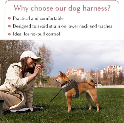 Comfort fit Step-in Dog &amp; Puppy Harness - Comfortable All Weather Dog Vest Harness: Adjustable, Soft Padded, Easy to Put-on for Small, Medium-Sized Dogs.