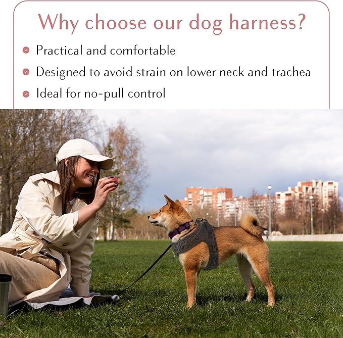 Comfort fit Step-in Dog &amp; Puppy Harness - Comfortable All Weather Dog Vest Harness: Adjustable, Soft Padded, Easy to Put-on for Small, Medium-Sized Dogs.