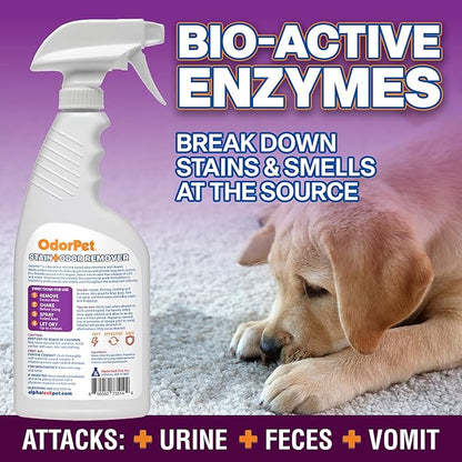 OdorPet Pet Stain Remover and Odor Eliminator - 16 Oz Ready To Use Spray, Non Staining, Professional Strength, Black Cherry Scent by Alpha Tech Pet