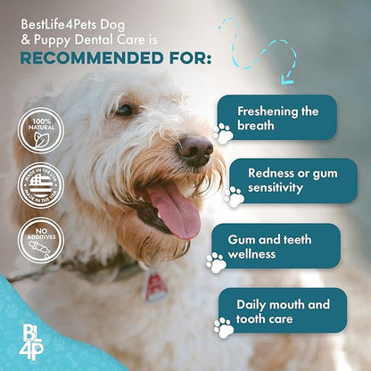 Dog Dental Care &amp; Bad Breath Remedy, Natural Dog Oral Care for Healthy Teeth, Mouth &amp; Gums, Daily Canine Breath Freshener, Plaque, Tartar Control Helps Reduce Gingivitis, Easy to Use 800 Tiny Pills