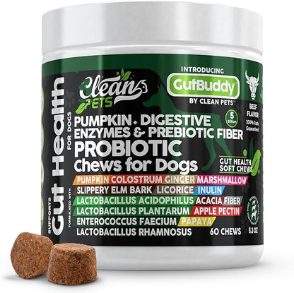 Probiotics for Dogs with Pumpkin, Colostrum, Digestive Enzymes, Ginger, Slippery Elm, Licorice, Inulin Fiber &amp; More | Beef Flavor Soft Chews for Gut Health and Digestion Dog Supplement