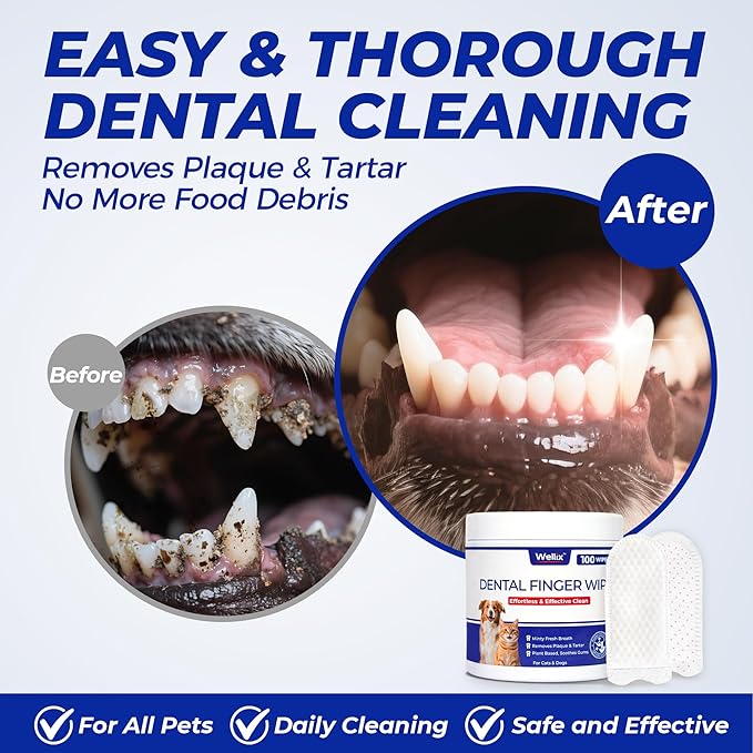 Wellix 100 Count Dog Teeth Cleaning Wipes for Dogs &amp; Cats - Natural Formula Dental Care Finger Wipes Reduces Dog Plaque, Tartar &amp; Bad Breath - No-Rinse Disposable Dog Dental Wipes